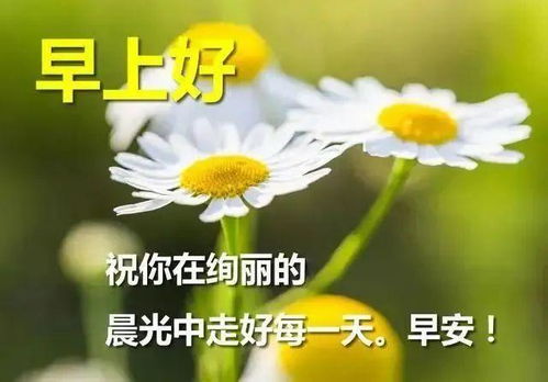 早上好的句子2021正能量