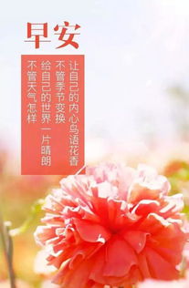 适合配风景的正能量的句子