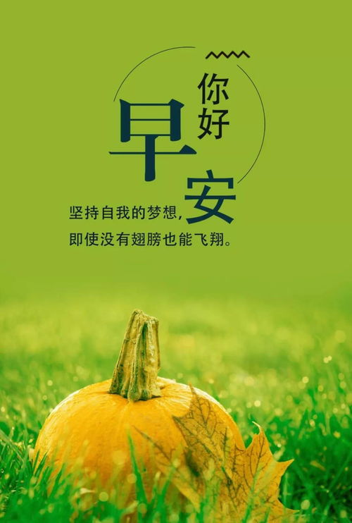 发朋友圈早安的句子正能量短句,发朋友圈早安的正能量句子和,早安的朋友圈句子大全正能量