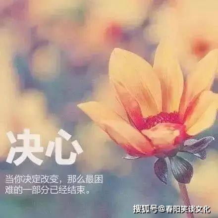 句子,个性签名,能量,青春