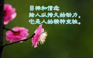 简短,句子,唯美,能量