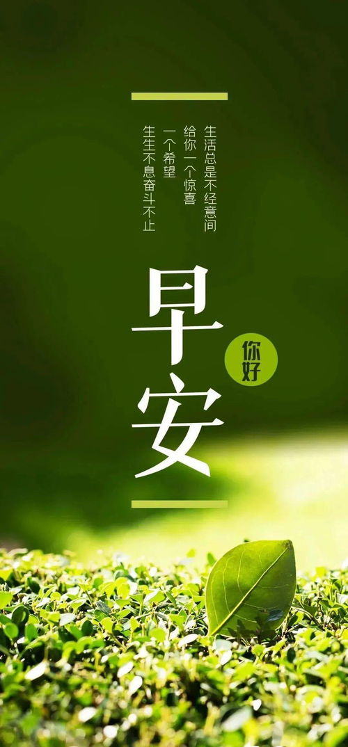 一周正能量句子,很长的正能量句子,搜一段正能量句子
