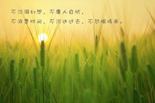句子,励志,简洁,能量