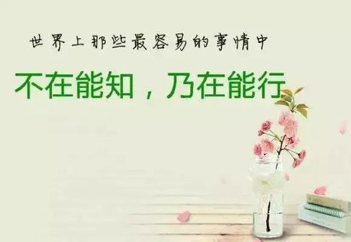充满正能量的句子,喝茶正能量的句子,美好的一天正能量句子