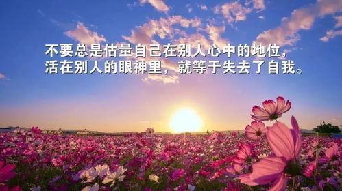 正能量句子带给我的感受是什么