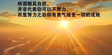 句子,激励,能量,奋斗