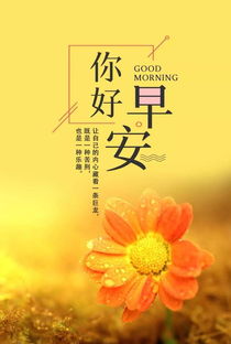做人正能量的句子经典语句早安