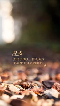朋友圈经典正能量句子大全