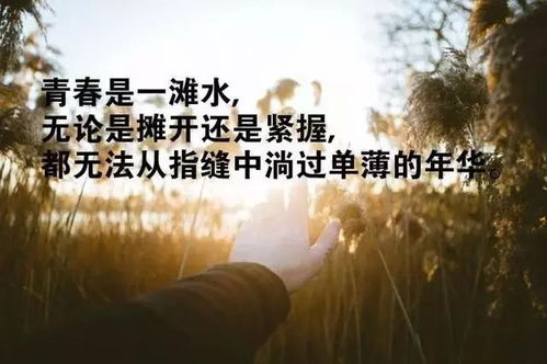 莫言富有人生哲理的句子,好心态的人生哲理正能量句子,富有人生哲理的优美句子