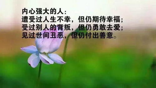 简单感恩励志正能量的句子,感恩老师励志正能量的句子,感恩公司励志正能量的句子