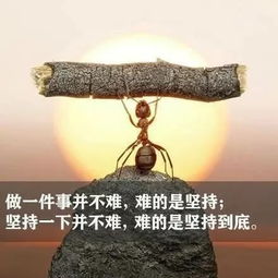 清晨努力正能量的句子