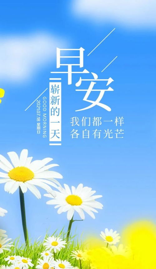句子,能量,早上,阳光