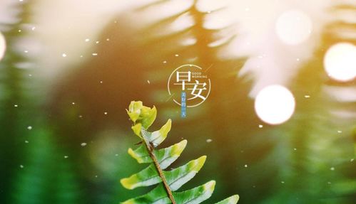 积极阳光正能量个性签名句子