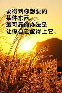 靠谱正能量句子