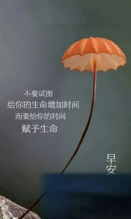 不要失望的正能量句子