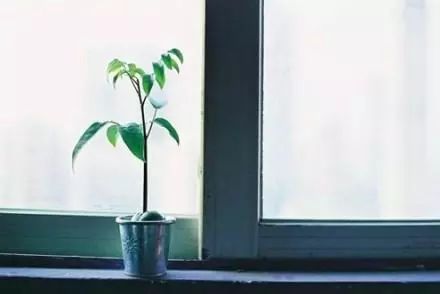 正能量爱世界万物的句子