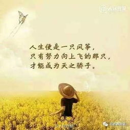 付出与收获的正能量古句子