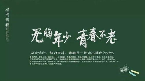 文案,句子,能量,开学