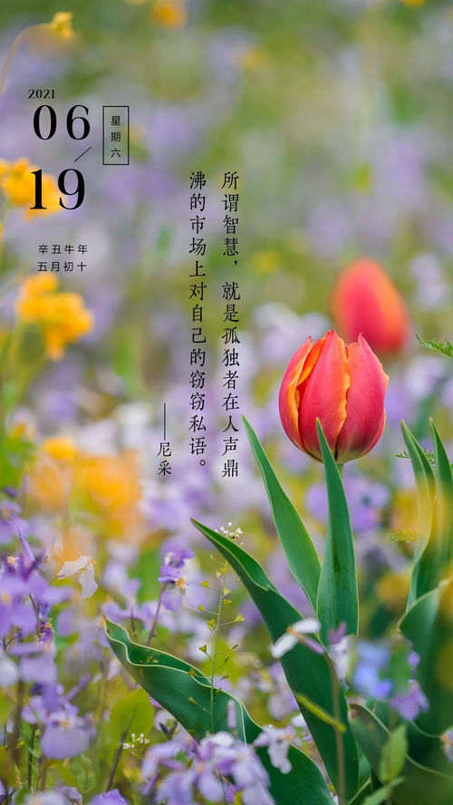 早上好的句子短语正能量带图,早上好的句子情人正能量短语,早上好的句子正能量朋友圈短语