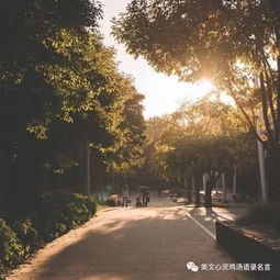 喜欢情感励志正能量的句子,励志上进正能量句子,句句激励自己!,人生情感正能量励志的句子