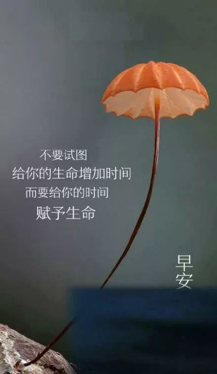 鼓励未来人心正能量的句子