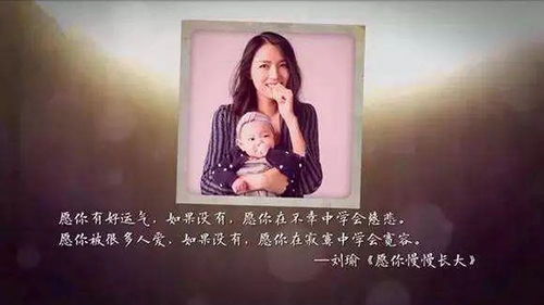 董卿说的正能量句子