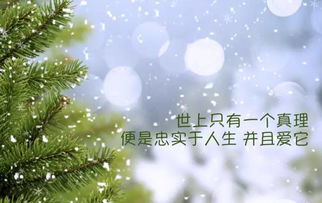 励志早安励志正能量的句子说说心情短语
