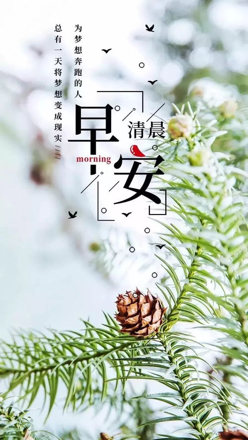 正能量句子发圈