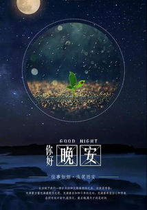 句子,能量,夜晚