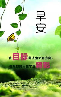 能量,早安,句子,奋斗