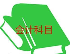 记入,会计科目,公司,软件