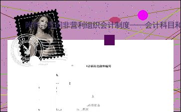 非营利组织会计制度的会计科目使用说明