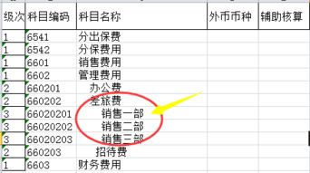辅助核算要设置在什么会计科目上,设置项目辅助核算的会计科目,在录入具有项目辅助核算的会计科目