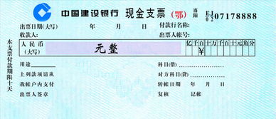 挂失,做什么,支票,会计科目