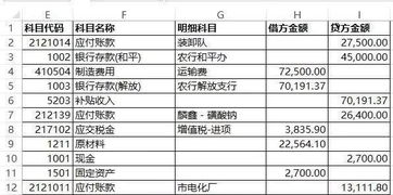 借方,负债,什么意思,会计科目