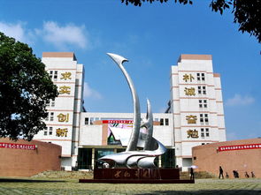 农业大学,湖南,自考,会计科目