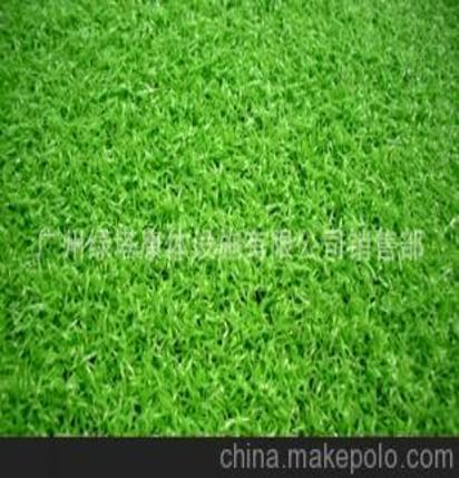 建造固定资产会计科目,草坪计入什么会计科目,建造厂房属于什么会计科目