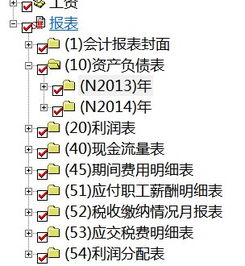 现金流量表,会计科目,查询