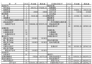 非营利会计科目汇总表