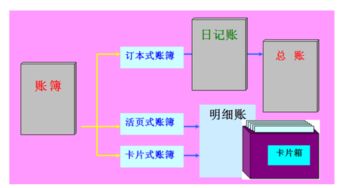 余额,期初,正确,输入