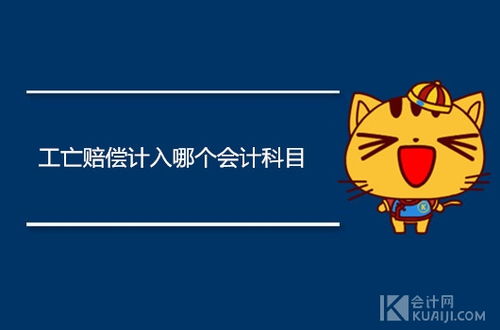 个人缴纳社保会计科目,社保放哪个会计科目,社保个人部分会计科目