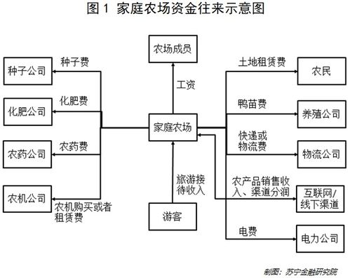 家庭农场的会计科目有哪些
