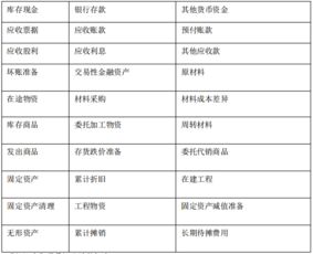 总预算,余额,会计科目
