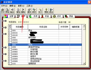 编码,随意,会计科目