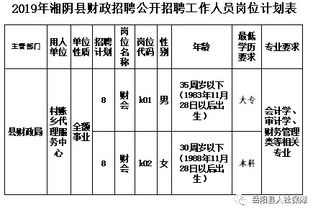 村账乡代理会计科目