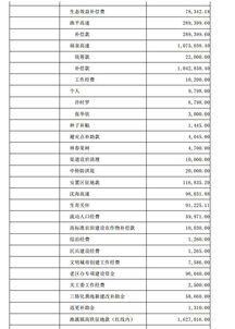 会计科目建立的顺序,村级财务核算会计科目,村级会计科目明细表