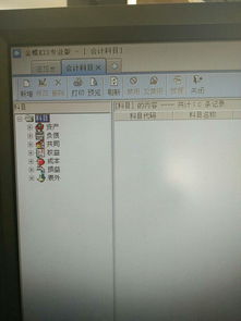 从模版中引入会计科目