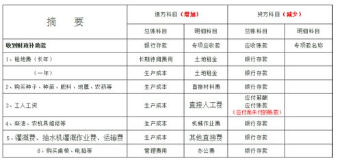 会计科目设置暂时不能执行