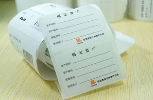 固定资产会计科目编码,固定资产核算的会计科目,固定资产包括哪些会计科目