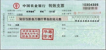 支票,会计科目